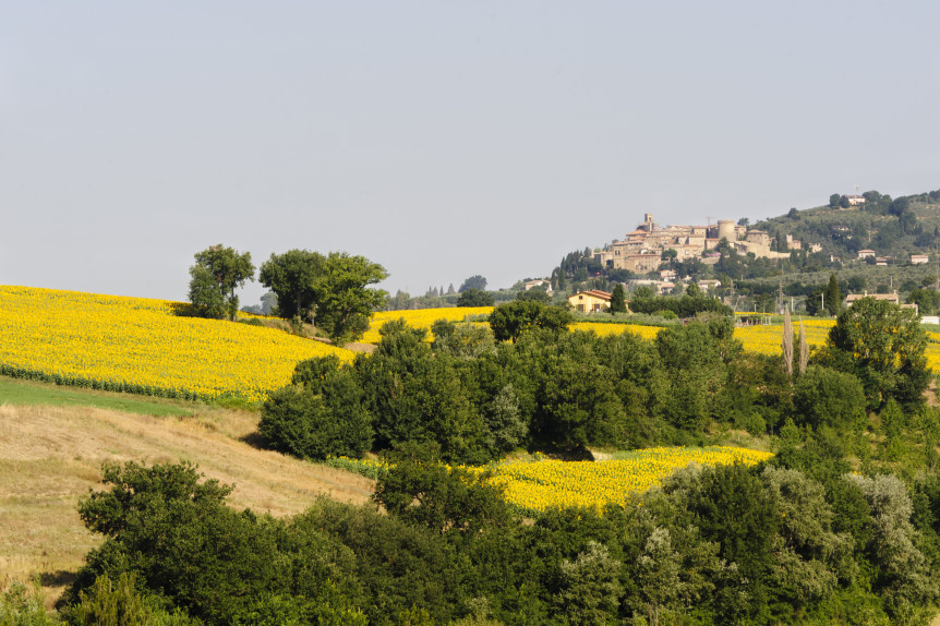 bigstock-Landscape-In-Umbria-Near-Todi-29477222-862x574[1]